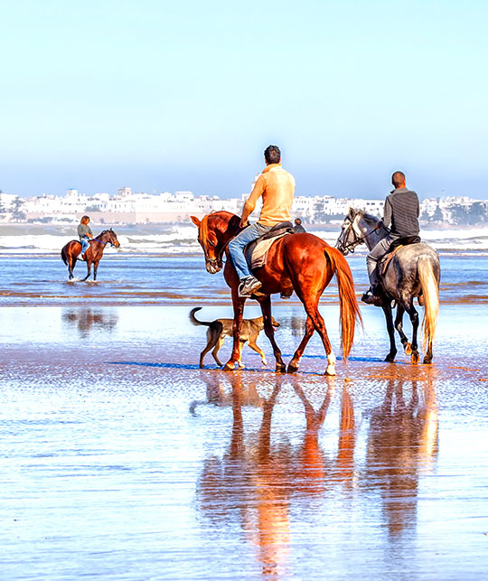 El Jadida